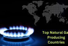 Top Natural Gas Producing Countries in 2025